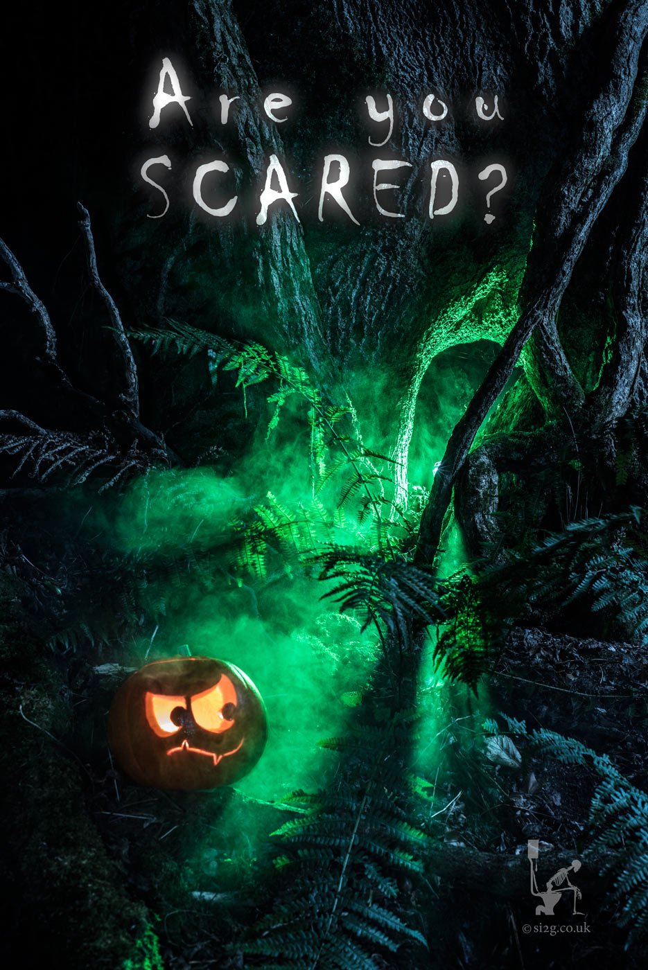 Halloween Launch Campaign - Another image from a start-up company campaign which ran at Halloween.  This pumpkin Jackolantern was photographed in a nearby forest with the use of coloured gels, flashguns hidden in trees and spray mist.