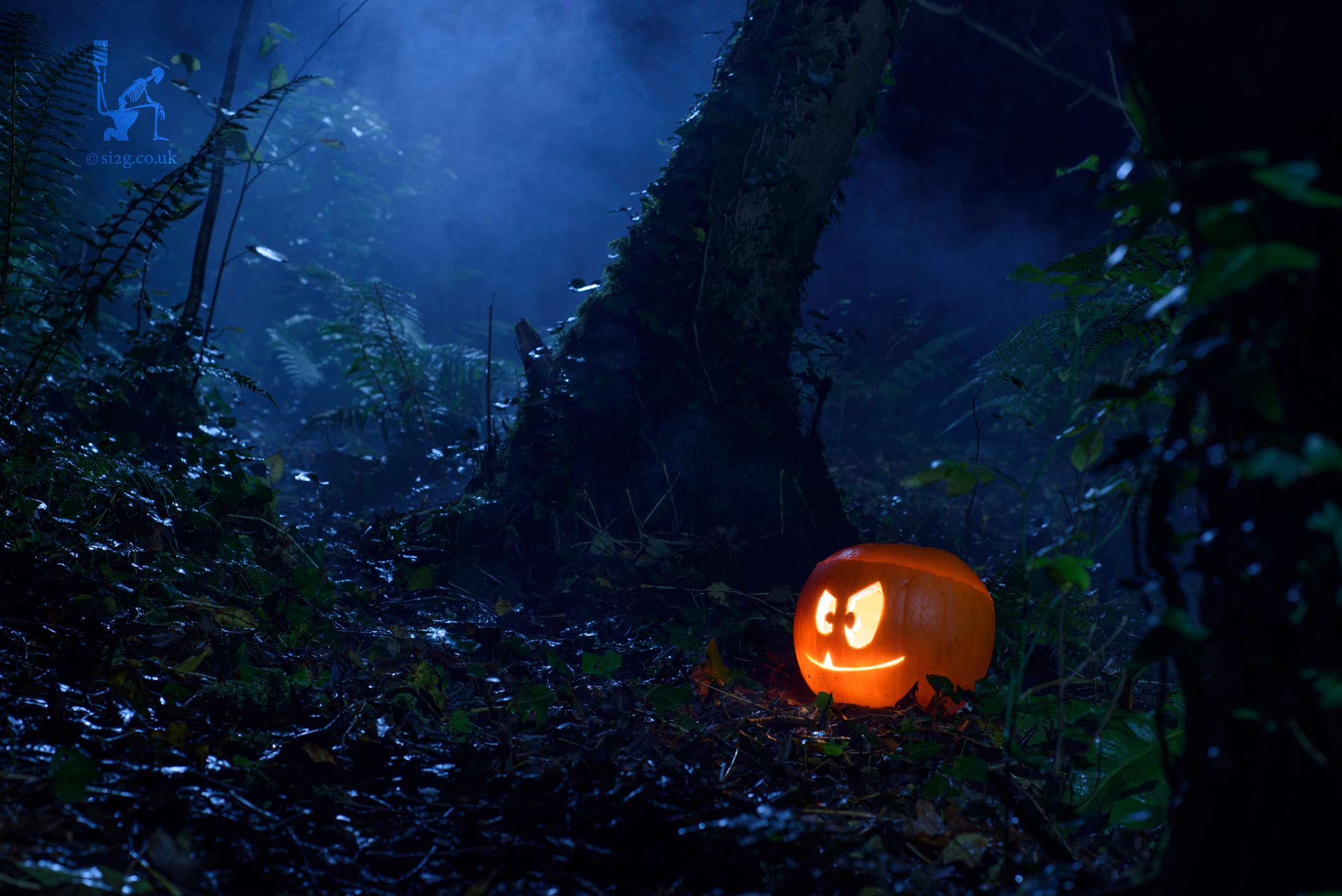 Halloween Pumpkin Jack-o-lantern - In search of something a little more atmospheric we photographed this pumpkin in the woods.  With a little bit of smoke, some tinkering with the speedlights and a lot of rolling about on the damp ground we captured this image.  Plenty of space was left in this picture for halloween branding and graphics.